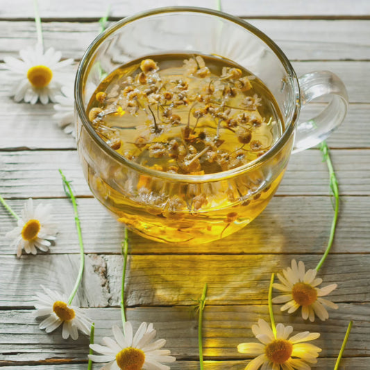 Chamomile (Egyptian) Tea